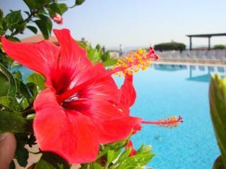 Casarossa Hotel Residence & Beauty クロトーネ エクステリア 写真